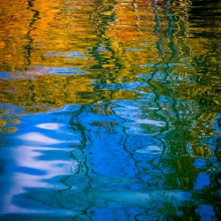 Gaias Reflection Right